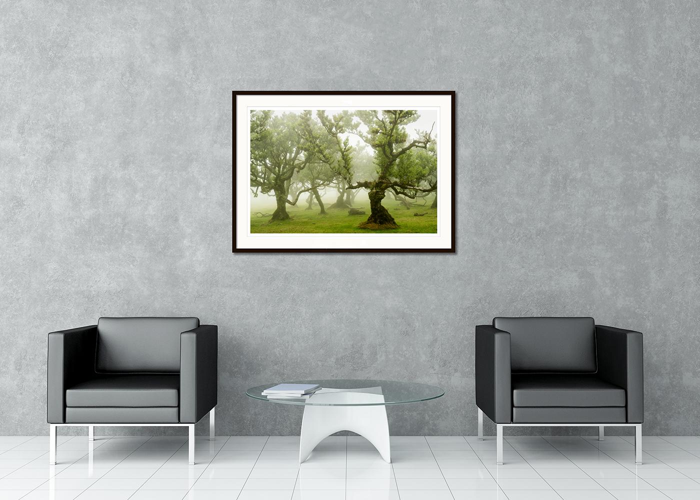 Farbfotografie für lange Landschaften. Pigmenttintendruck in einer limitierten Auflage von 7 Exemplaren. Alle Drucke von Gerald Berghammer werden auf Bestellung in limitierter Auflage auf Hahnemuehle Photo Rag Baryta hergestellt. Jeder Druck ist auf