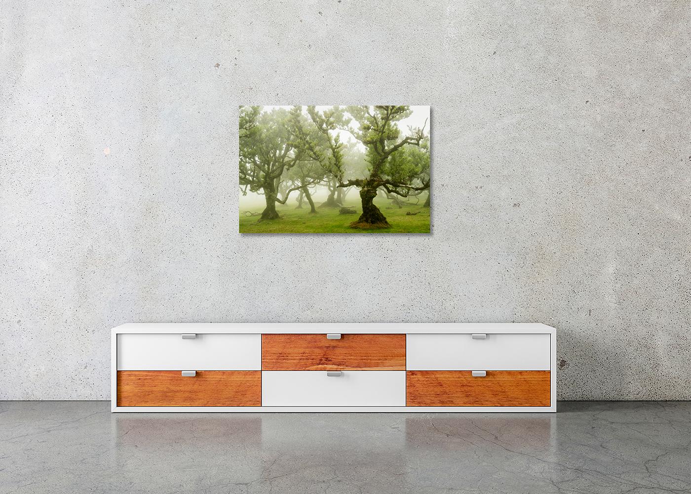 Fairy Forest, Old Bent Trees, Großformat-Farbfotografie, limitierte Auflage im Angebot 2