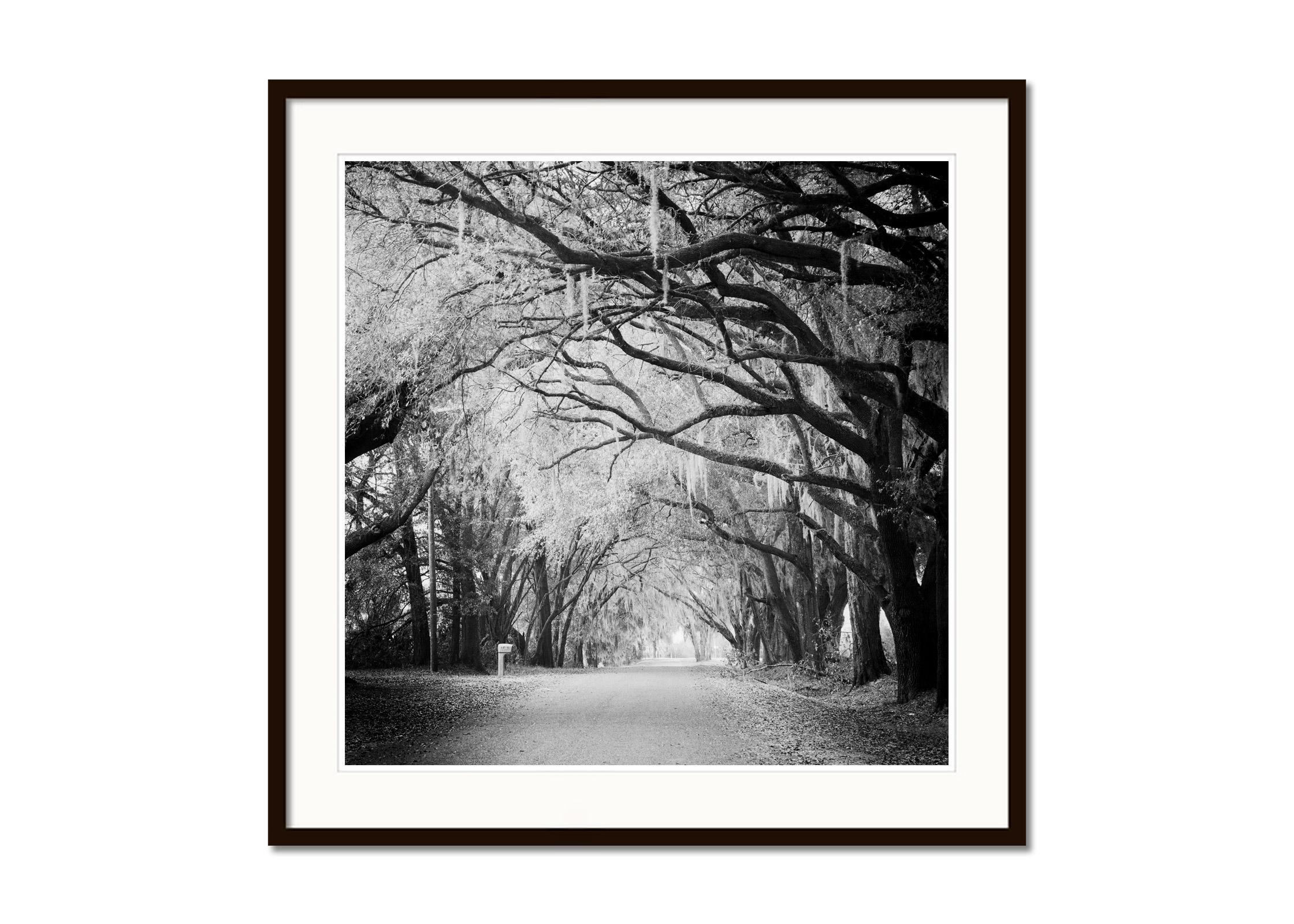 Black and white fine art landscape photography print. Archival pigment ink print, edition of 9. Signed, titled, dated and numbered by artist. Certificate of authenticity included. Printed with 4cm white border.
International award winner
