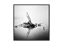 Gefallener Baum, monochrome Fotografie, minimalistische Landschaft, limitierte Auflage