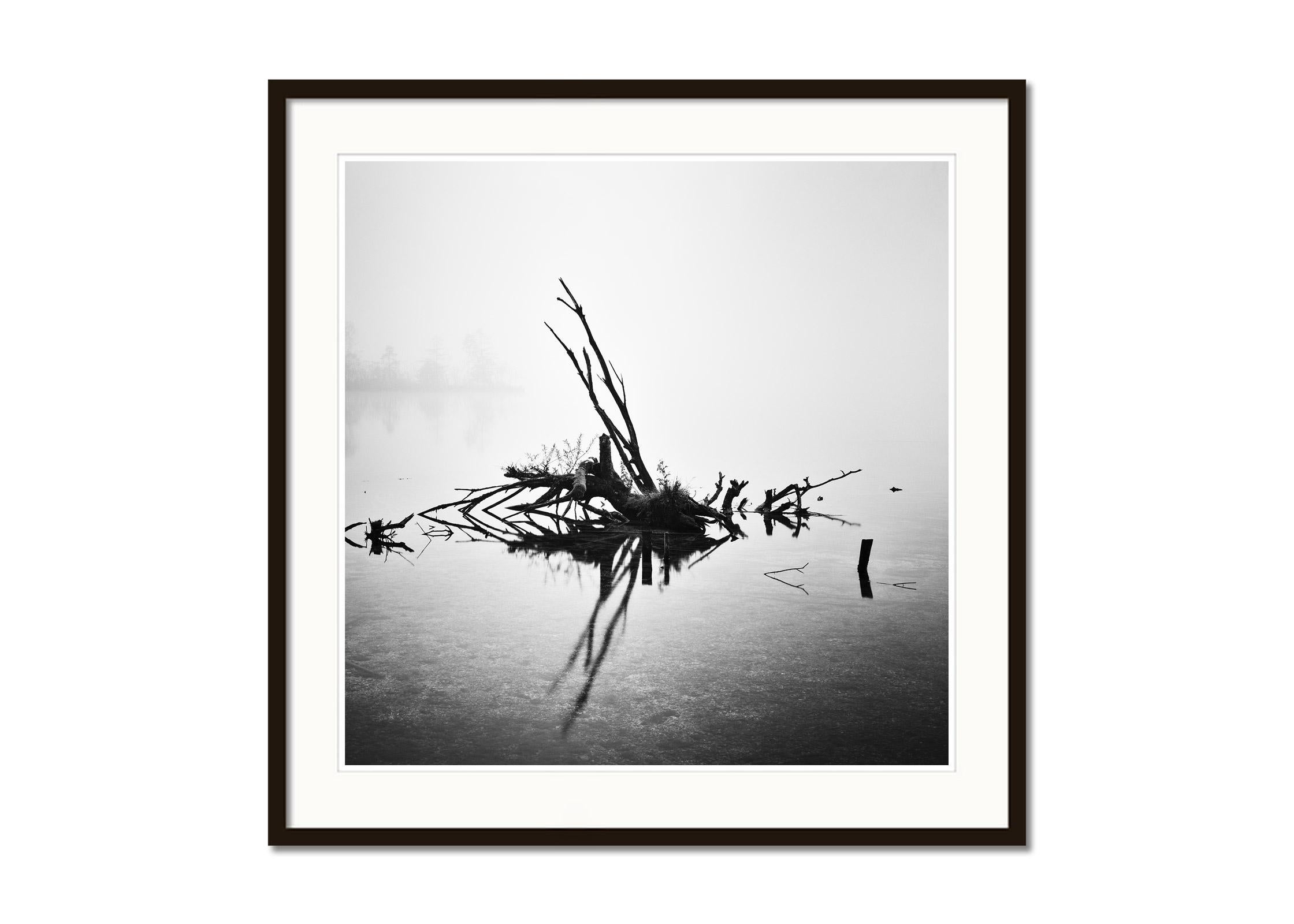 Gefallener Baum, monochrome Fotografie, minimalistische Landschaft, limitierte Auflage (Grau), Black and White Photograph, von Gerald Berghammer
