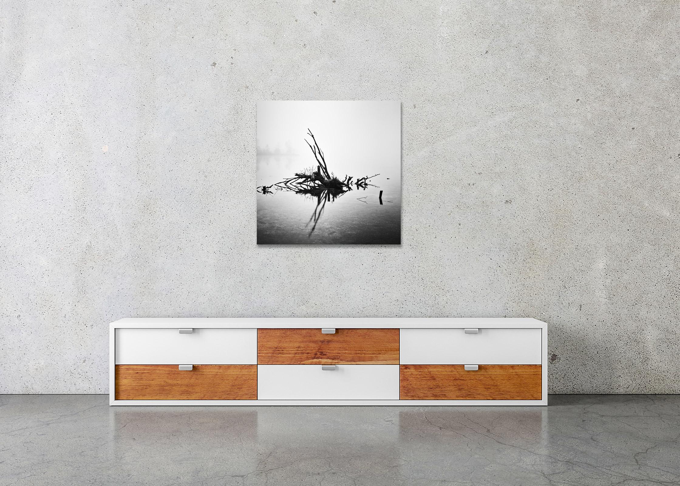 Gefallener Baum, monochrome Fotografie, minimalistische Landschaft, limitierte Auflage im Angebot 2
