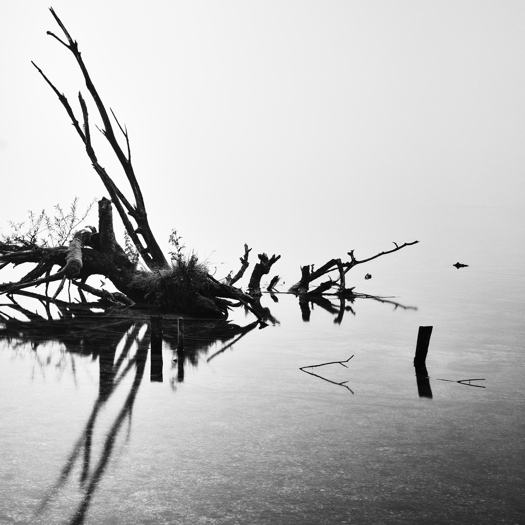 Gefallener Baum, monochrome Fotografie, minimalistische Landschaft, limitierte Auflage im Angebot 4