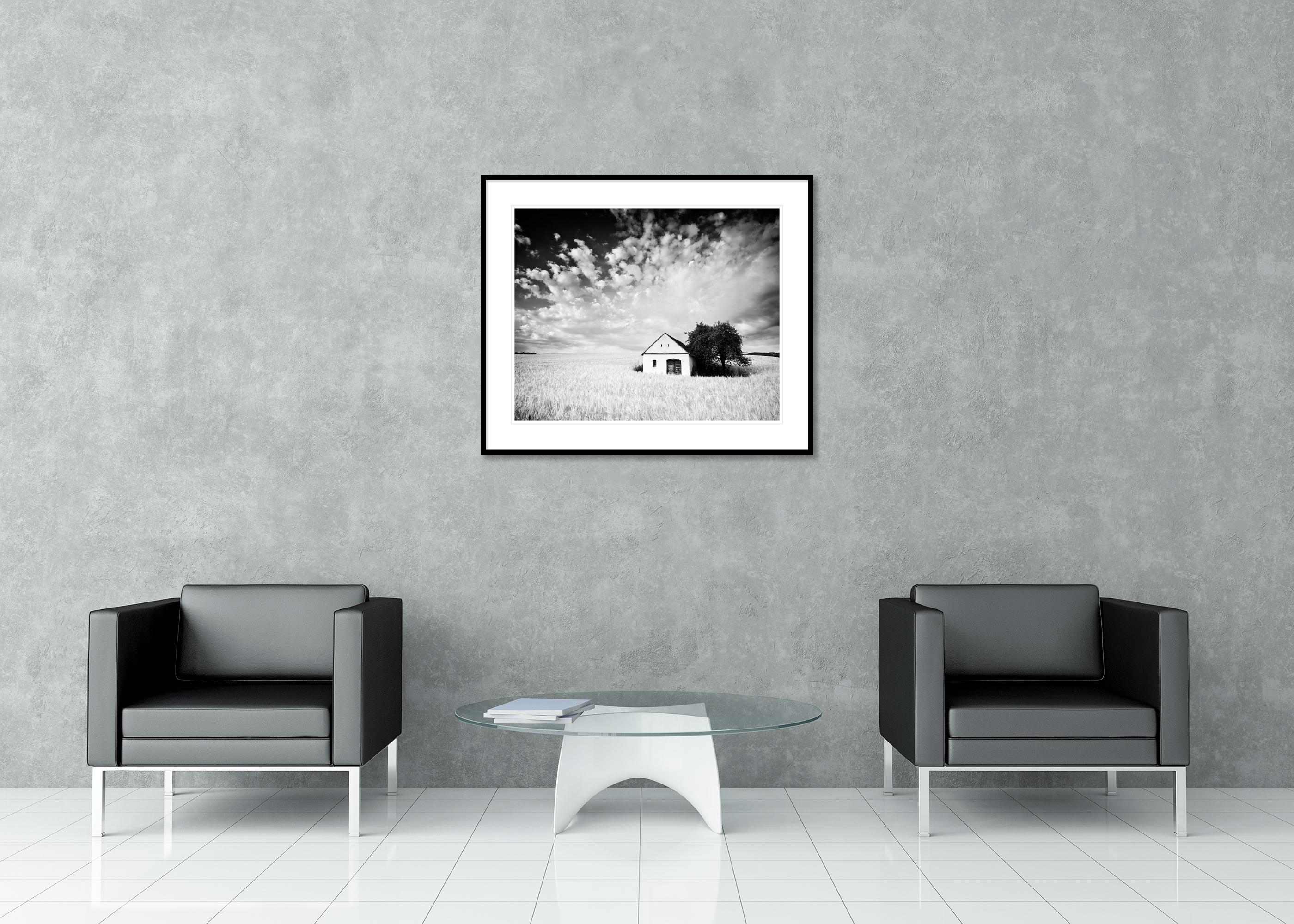 Cabane de ferme, champ de maïs, nuages géants, photographie noir et blanc, paysage, art en vente 6