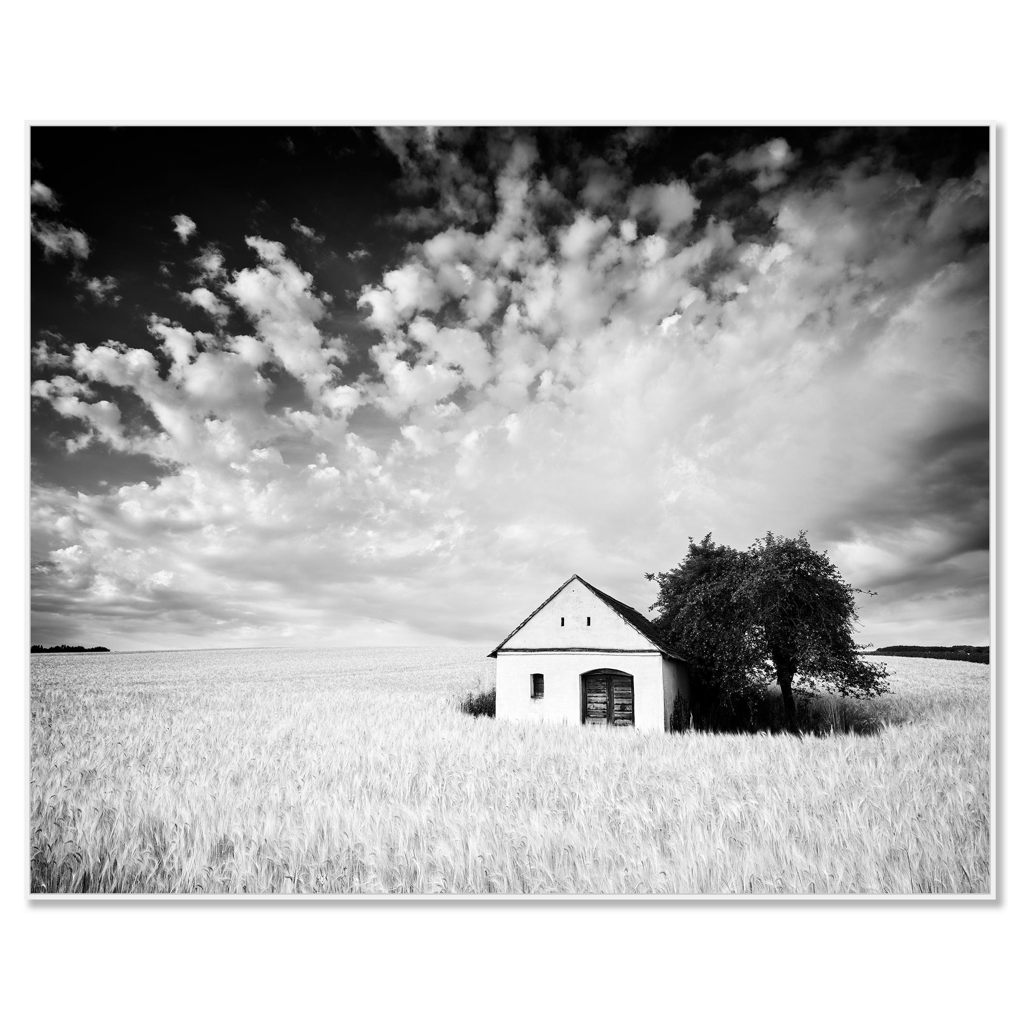 Cabane de ferme, champ de maïs, nuages géants, photographie noir et blanc, paysage, art - Photograph de Gerald Berghammer
