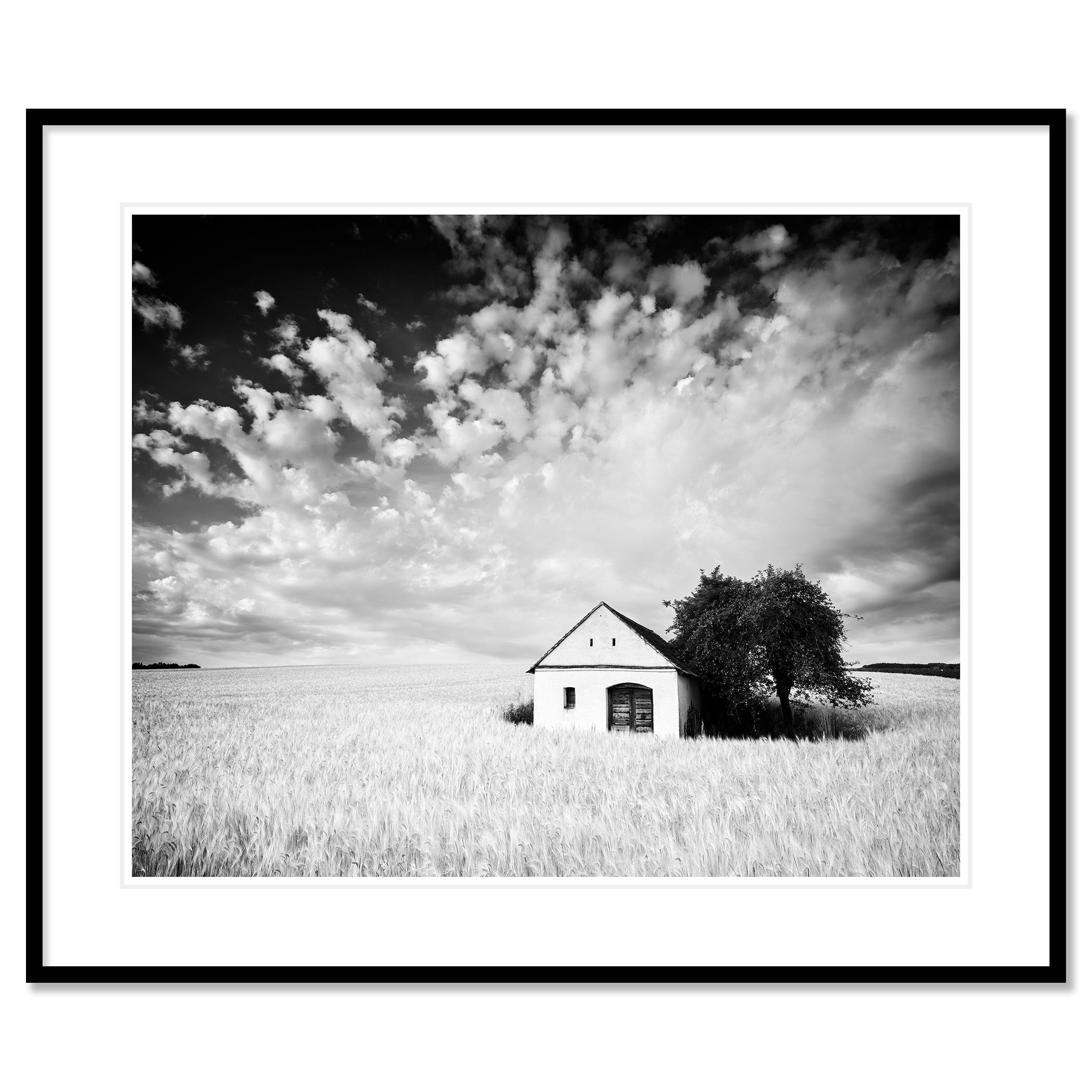 Cabane de ferme, champ de maïs, nuages géants, photographie noir et blanc, paysage, art en vente 1
