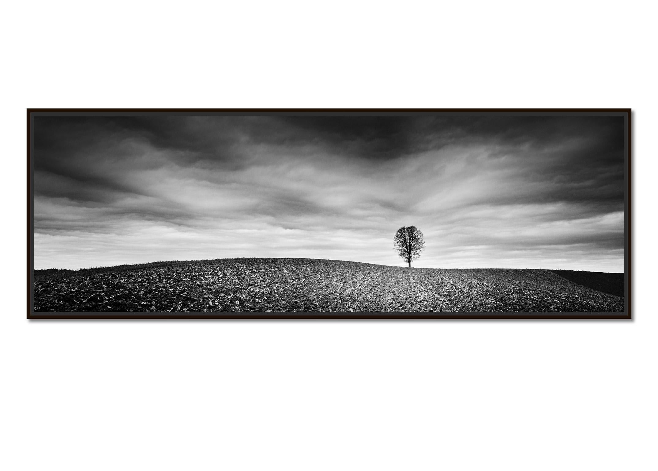 Farmland Panorama, Autumn Field, Austria, black and white photography, landscape - Photograph by Gerald Berghammer