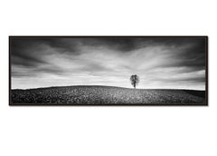 Panorama agrícola, campo otoñal, fotografía en blanco y negro, paisaje limitado