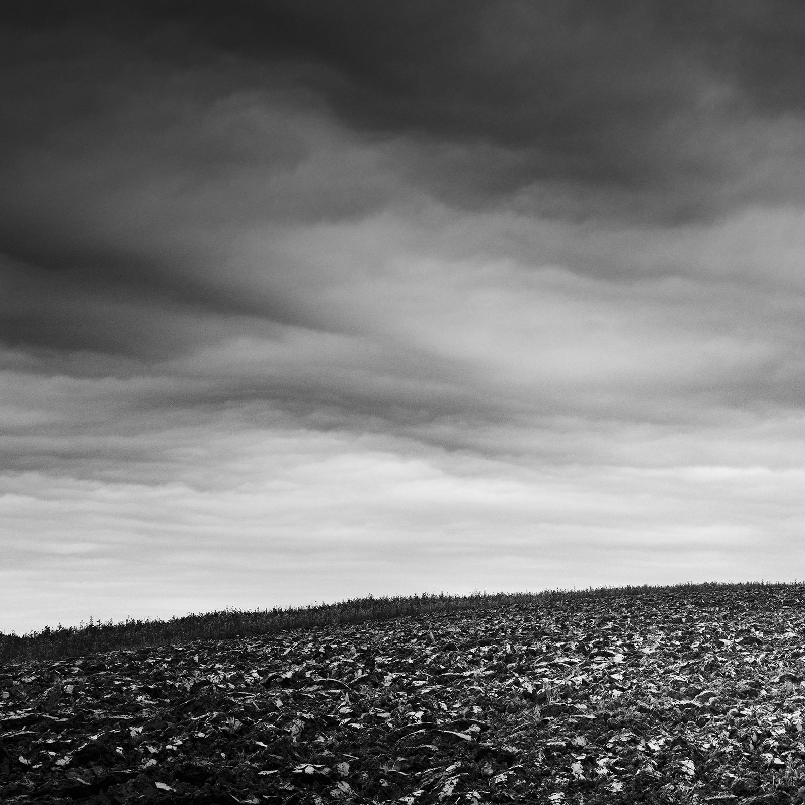 Farmland Panorama, Autumn Field, Austria, black and white photography, landscape For Sale 3