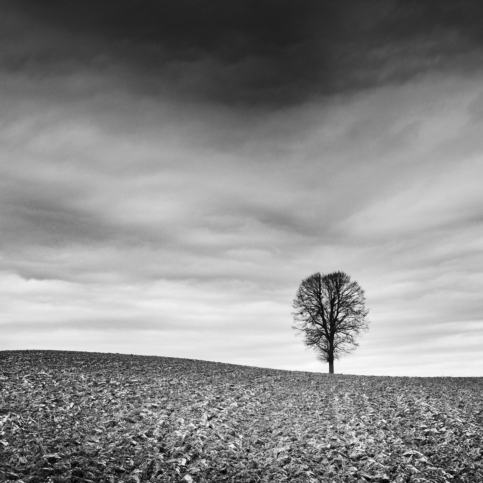Farmland Panorama, Autumn Field, Austria, black and white photography, landscape For Sale 4