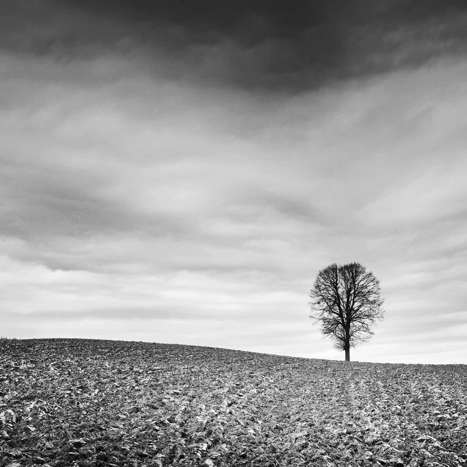 Bauernhof Panorama, Herbstfeld, Schwarz-Weiß-Fotografie, limitierte Landschaft im Angebot 4