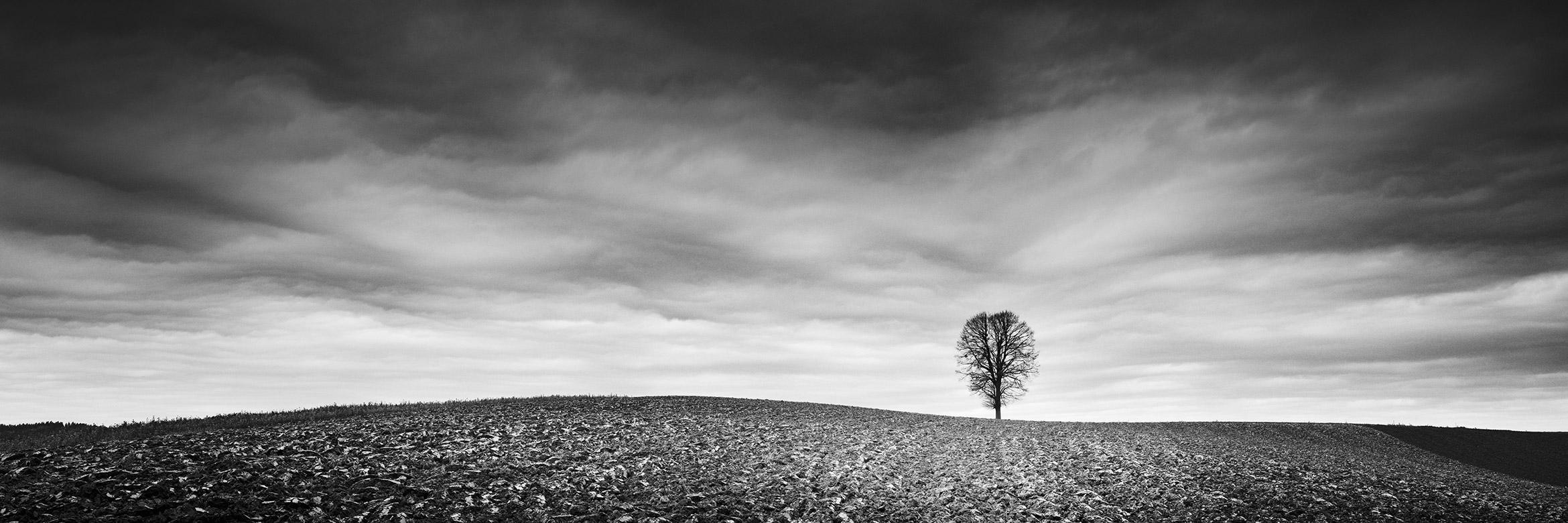 Farmland Panorama, Autumn Field, Austria, black and white photography, landscape