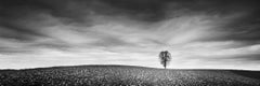 Farmland Panorama, Autumn Field, Austria, black and white photography, landscape
