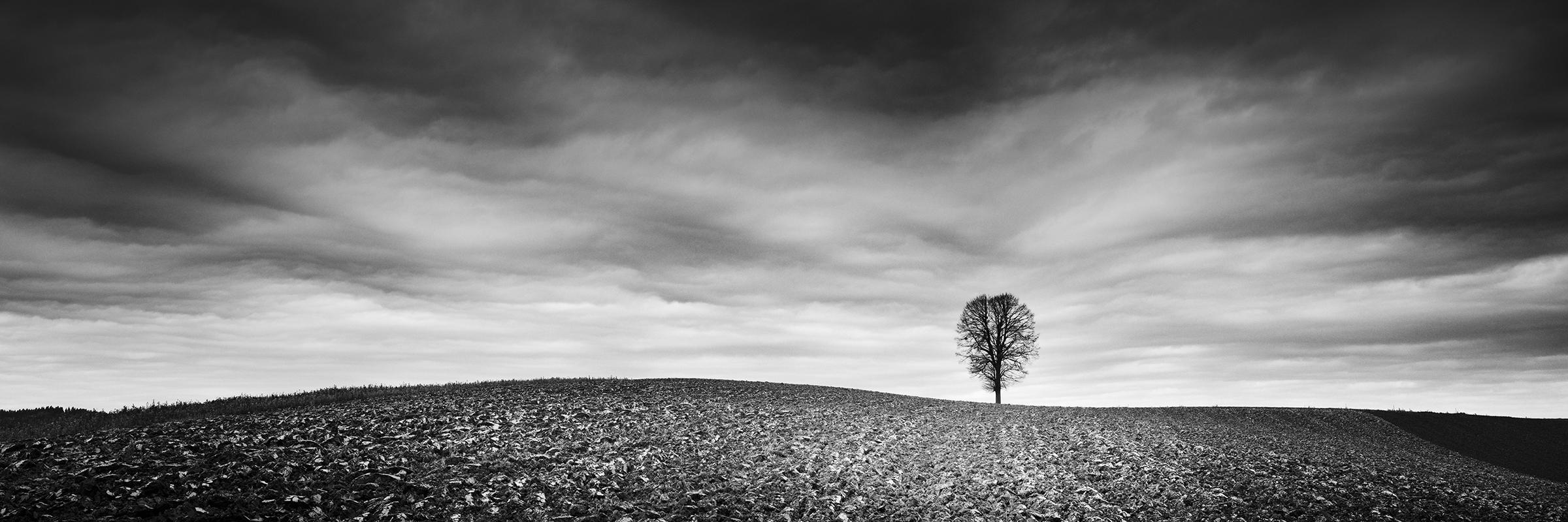 Gerald Berghammer Black and White Photograph - Farmland Panorama, Autumn Field, Austria, black and white photography, landscape