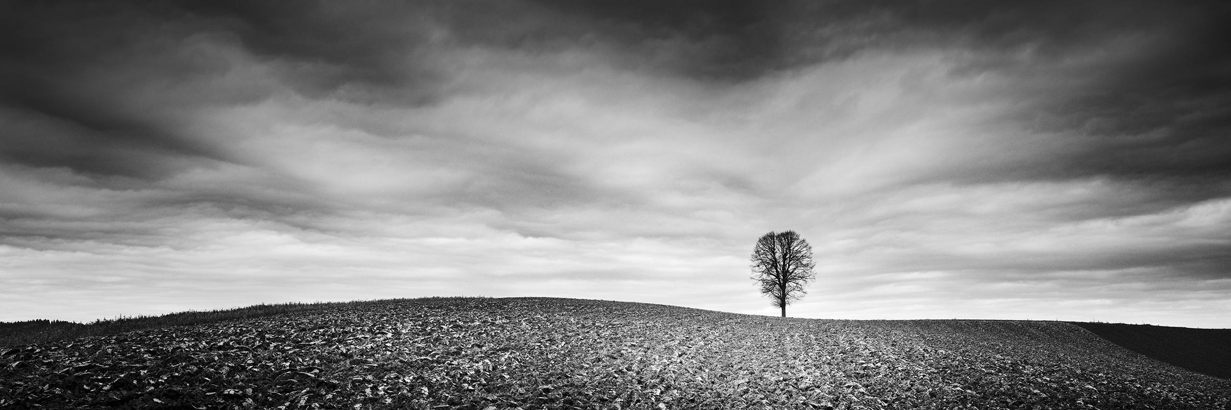 Gerald Berghammer Black and White Photograph – Bauernhof Panorama, Herbstfeld, Schwarz-Weiß-Fotografie, limitierte Landschaft