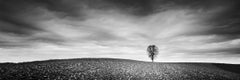 Panorama agrícola, campo otoñal, fotografía en blanco y negro, paisaje limitado