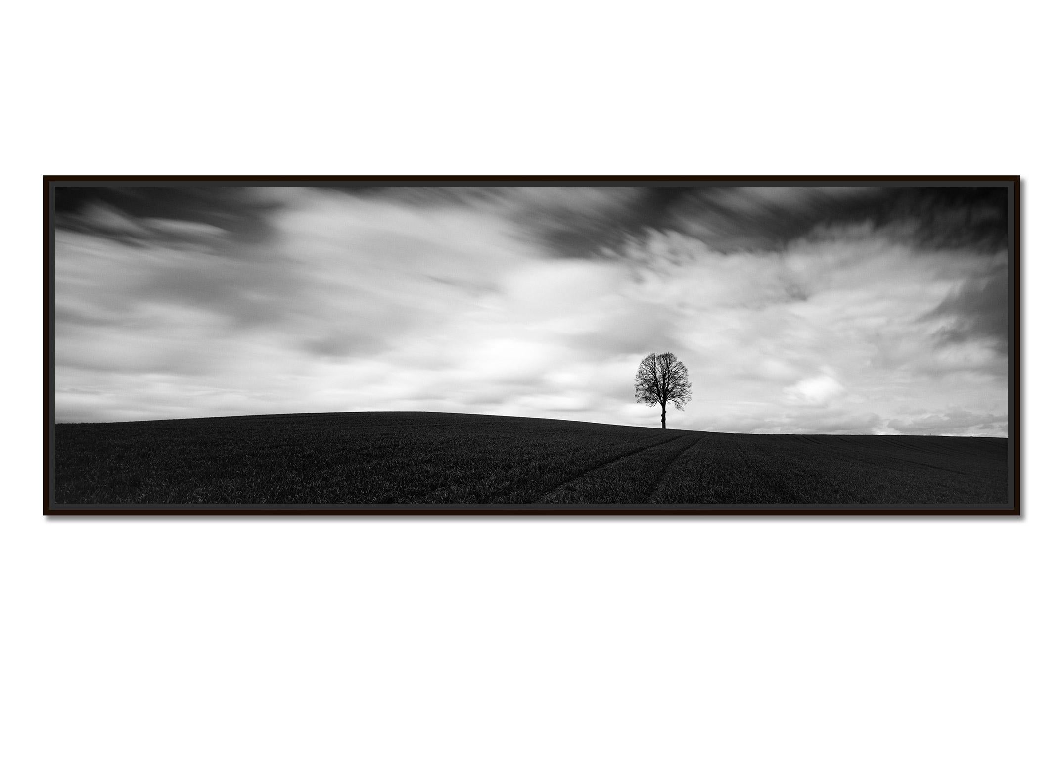 Farmland Panorama, single tree, field, black and white, landscape, photography - Photograph by Gerald Berghammer