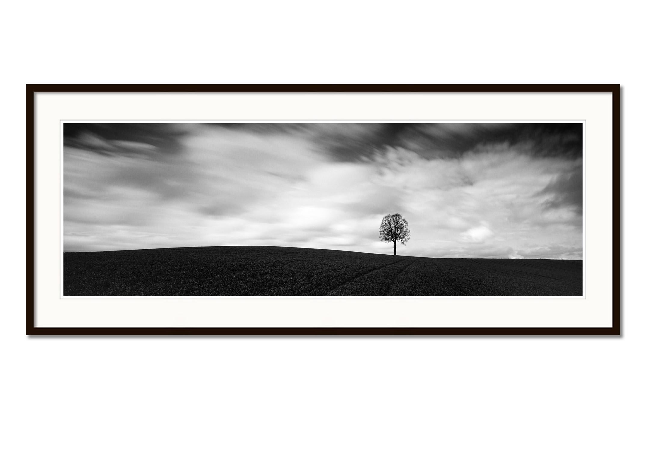 Farmland Panorama, single tree, field, black and white, landscape, photography - Contemporary Photograph by Gerald Berghammer