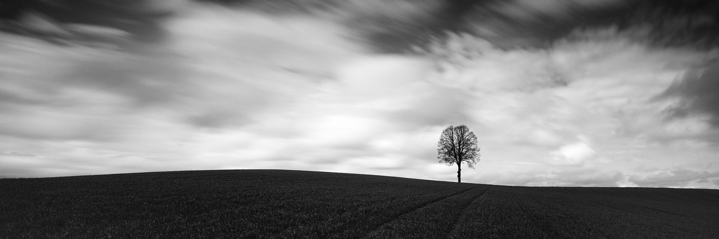 Gerald Berghammer Landscape Photograph - Farmland Panorama, single tree, field, black and white, landscape, photography