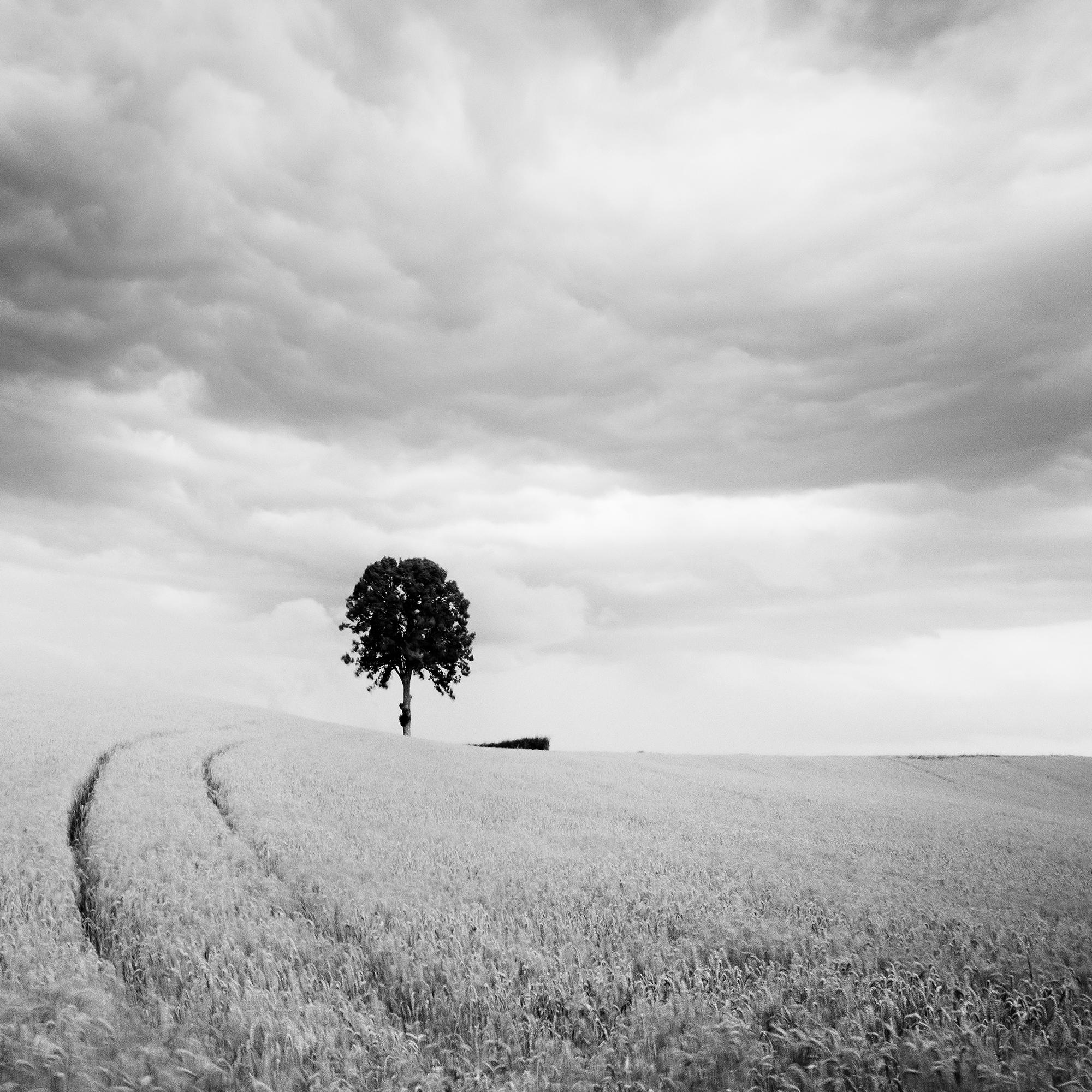 Bauernhof, ein einzelner Baum, riesige Wolken, Schwarz-Weiß, Landschaft, Kunstfotografie im Angebot 4