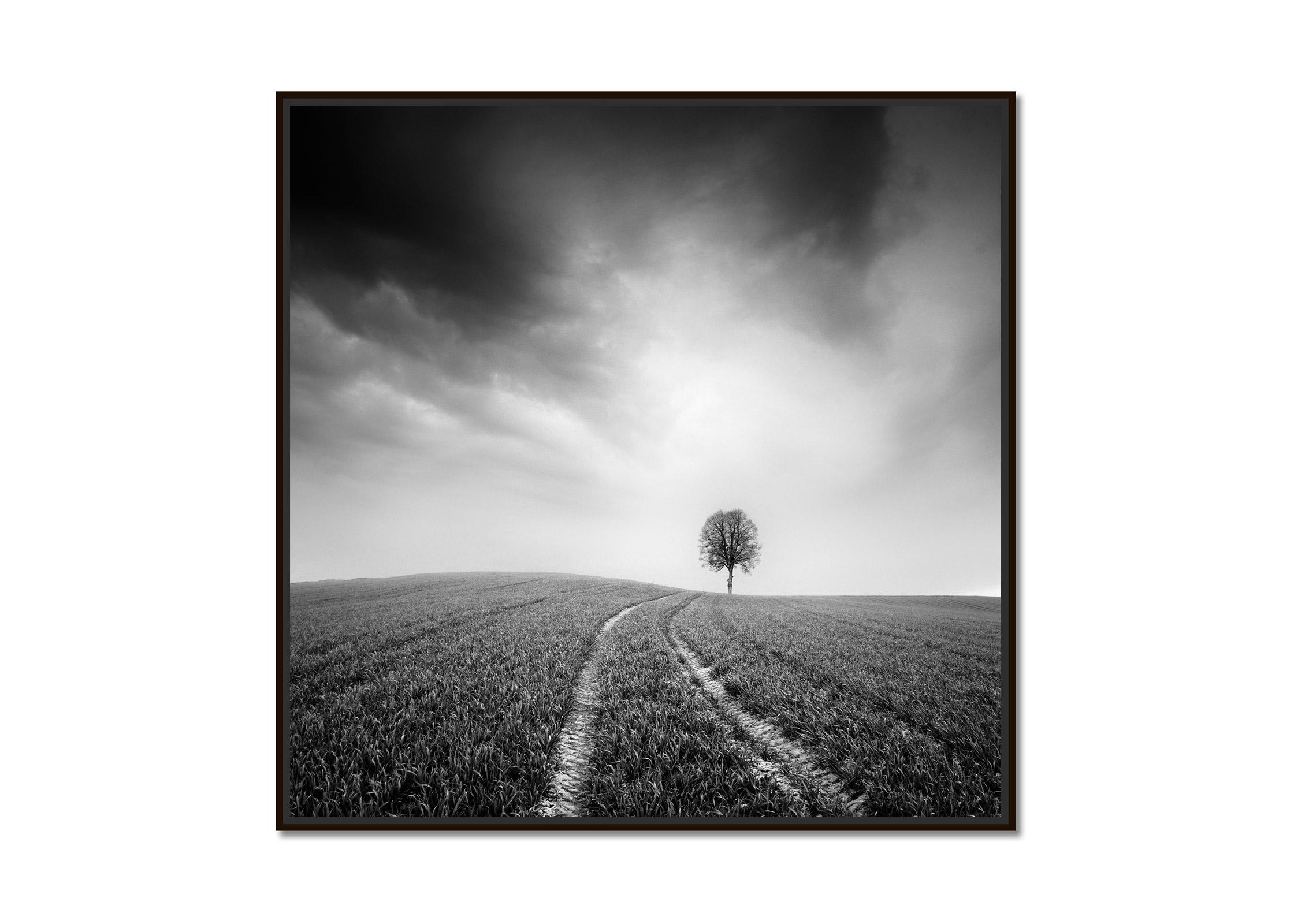 Bauernhof, ein einzelner Baum, minimalistische schwarz-weiße Kunst-Landschaftsfotografie – Print von Gerald Berghammer
