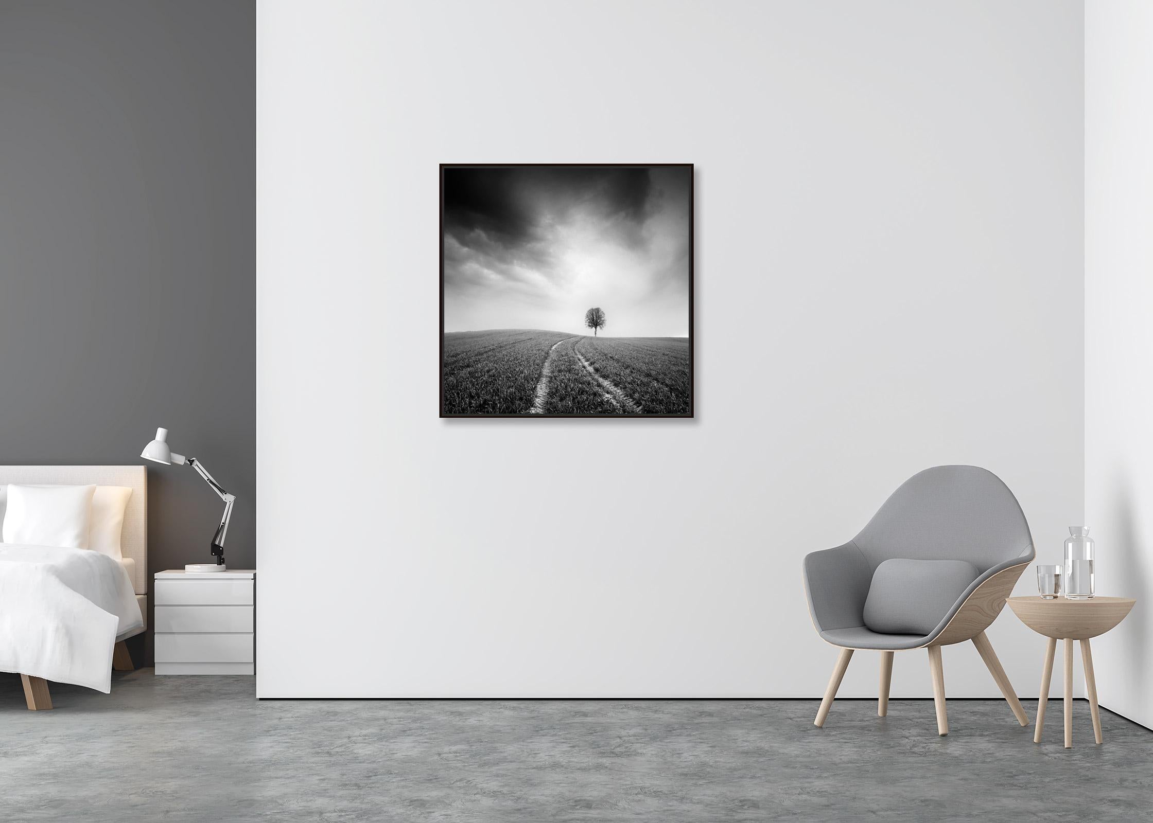 Bauernhof, ein einzelner Baum, minimalistische schwarz-weiße Kunst-Landschaftsfotografie (Minimalistisch), Print, von Gerald Berghammer
