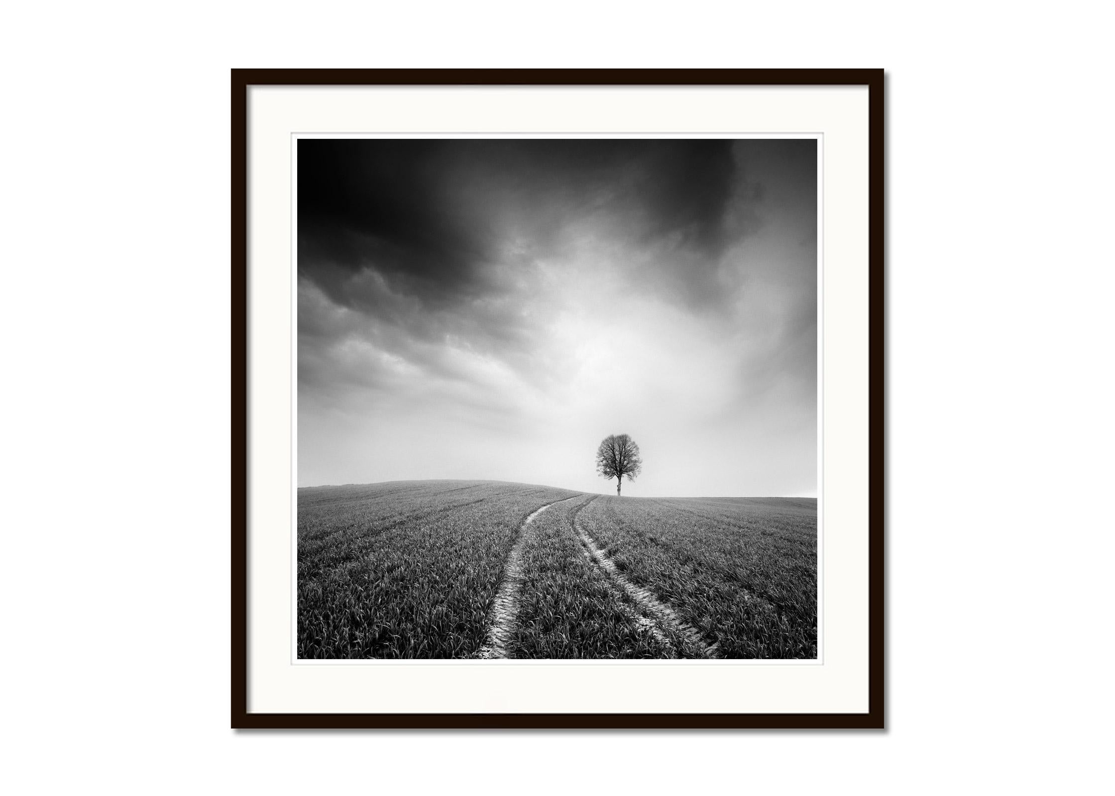 Bauernhof, ein einzelner Baum, minimalistische schwarz-weiße Kunst-Landschaftsfotografie (Grau), Landscape Print, von Gerald Berghammer