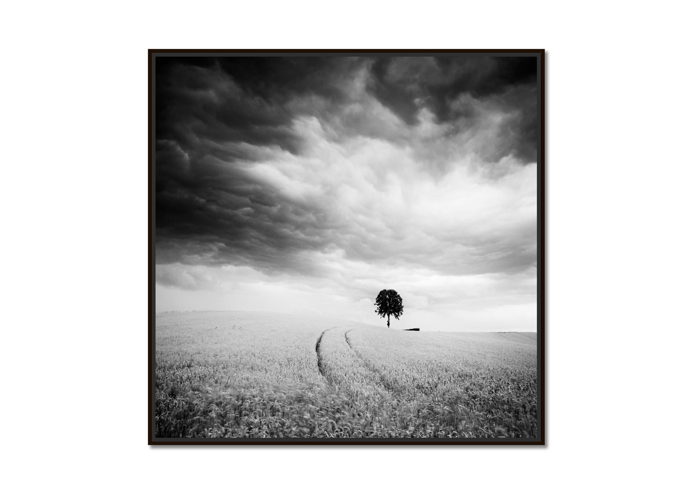 Farmland, single tree, giant clouds, black and white landscape art photography - Photograph by Gerald Berghammer