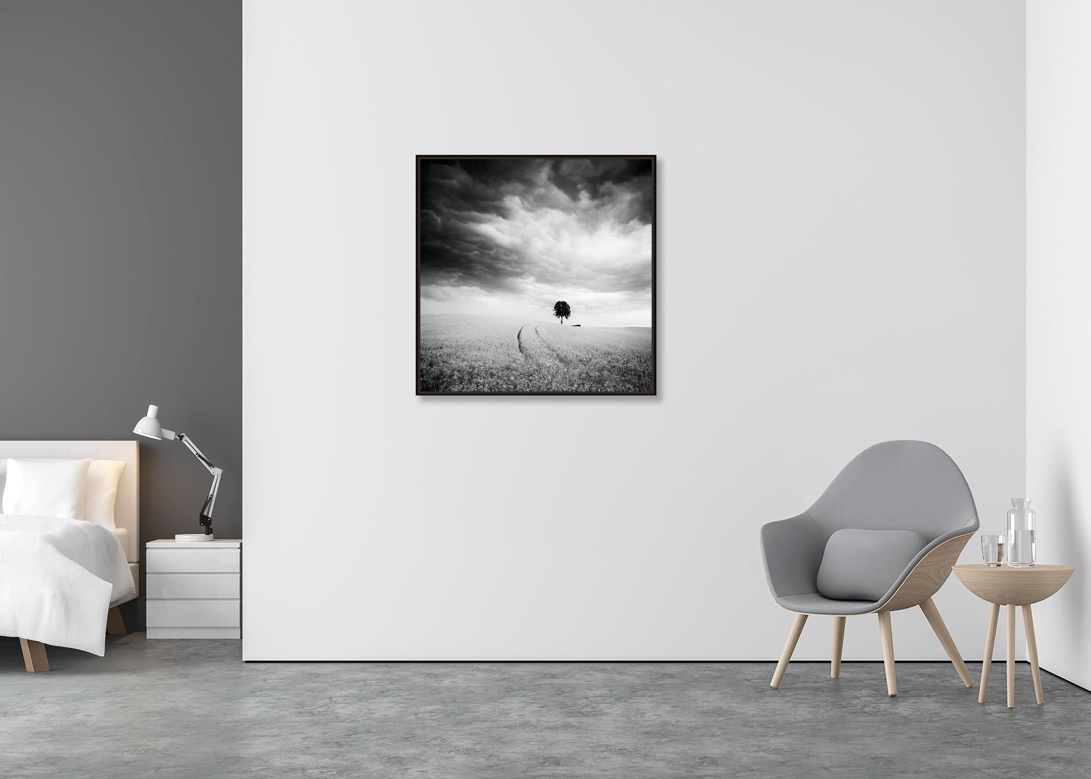 Bauernhof, ein einzelner Baum, riesige Wolken, Schwarz-Weiß, Landschaft, Kunstfotografie (Zeitgenössisch), Photograph, von Gerald Berghammer