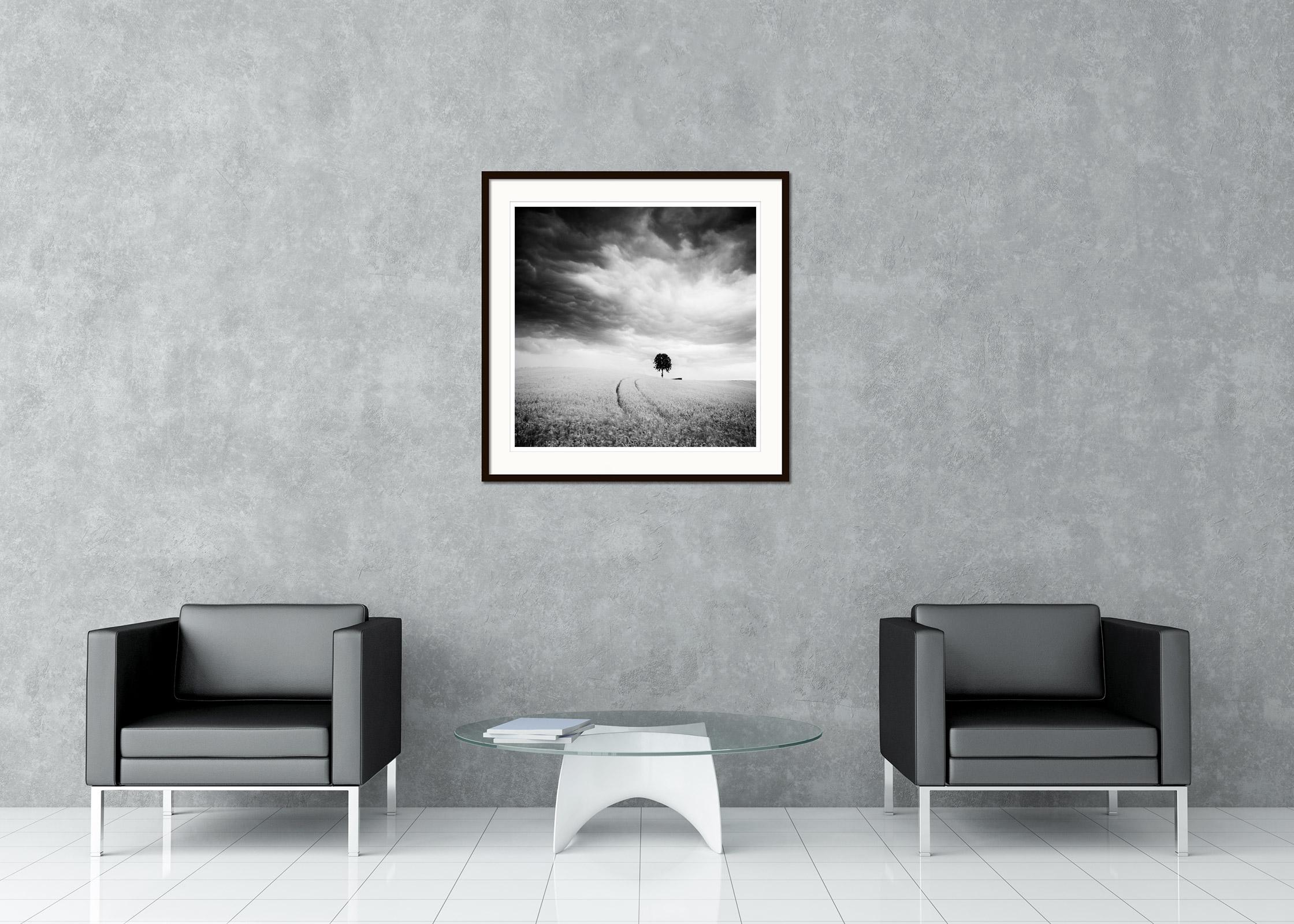 Schwarz-Weiß-Fotografie von Landschaften. Einzelner Baum im Kornfeld während eines Sturms und riesiger Wolken, Österreich. Pigmenttintendruck in einer limitierten Auflage von 15 Exemplaren. Alle Drucke von Gerald Berghammer werden auf Bestellung in