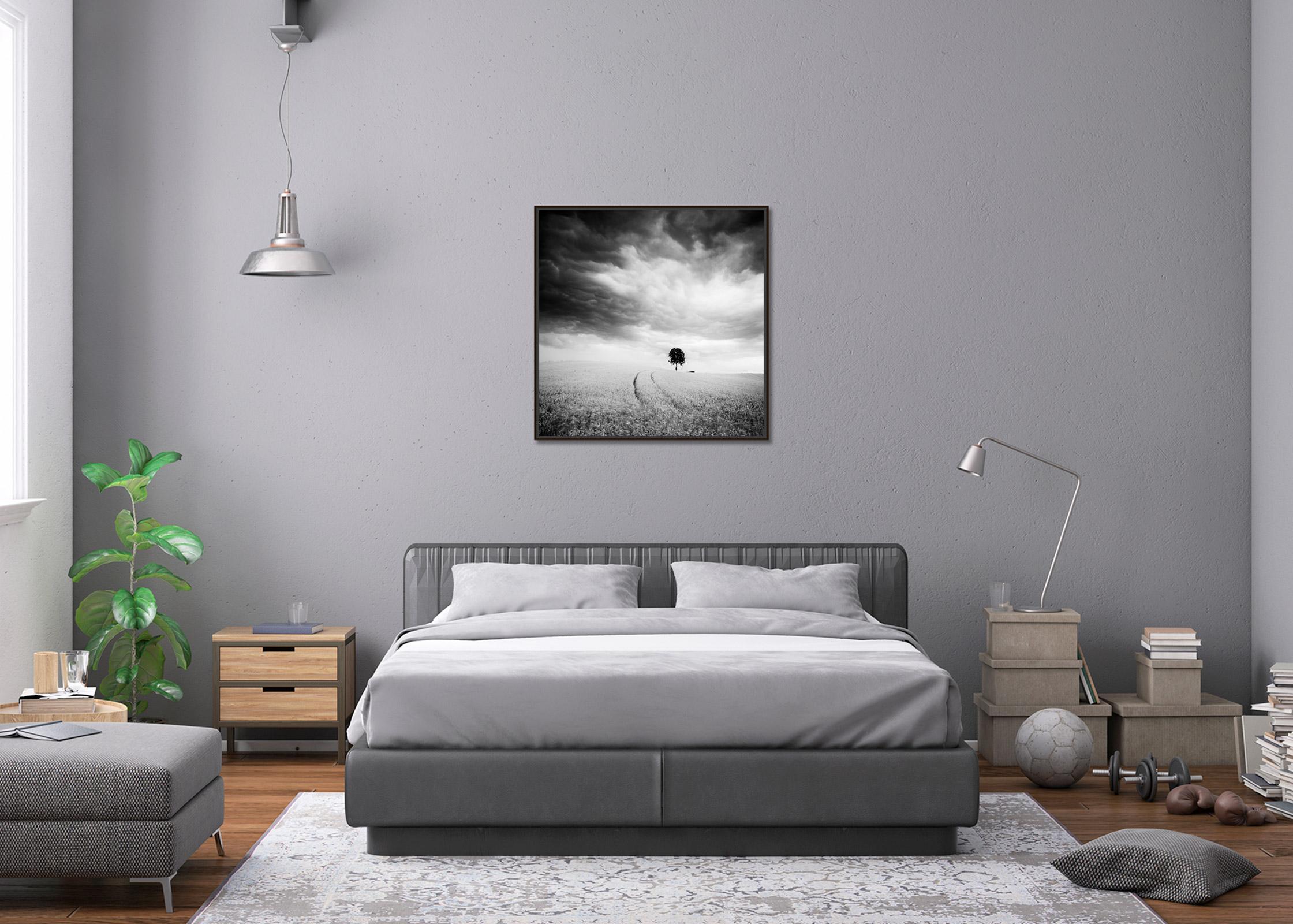 Bauernhof, ein einzelner Baum, riesige Wolken, Schwarz-Weiß, Landschaft, Kunstfotografie im Angebot 1