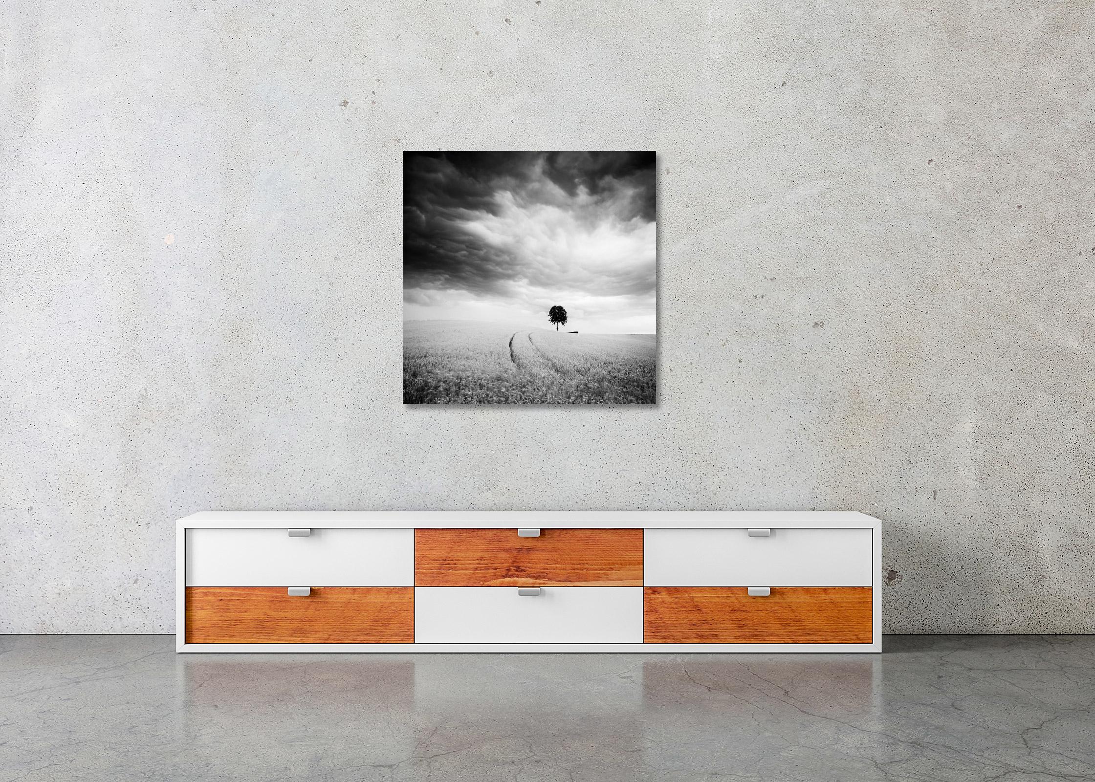 Bauernhof, ein einzelner Baum, riesige Wolken, Schwarz-Weiß, Landschaft, Kunstfotografie im Angebot 2