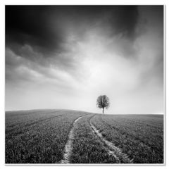 Farmland, Studio 3 – Fotografia artistica in bianco e nero in edizione limitata