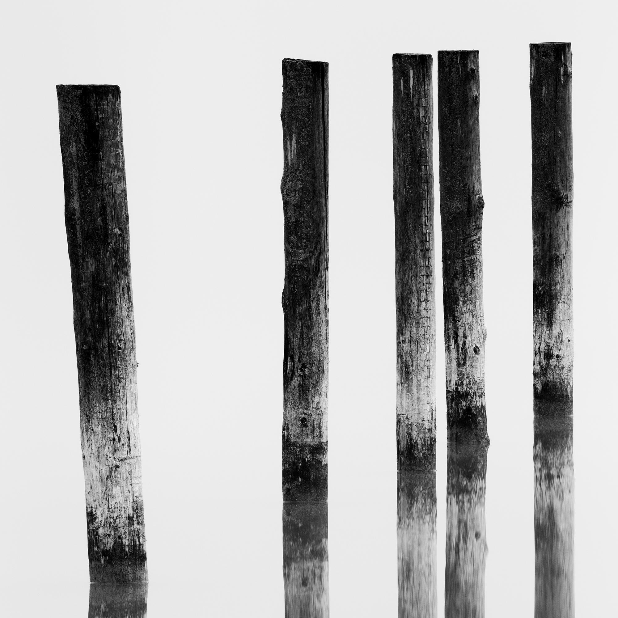 Cinco postes de madera, Lago, larga exposición, fotografía de paisaje acuático, edición limitada en venta 5