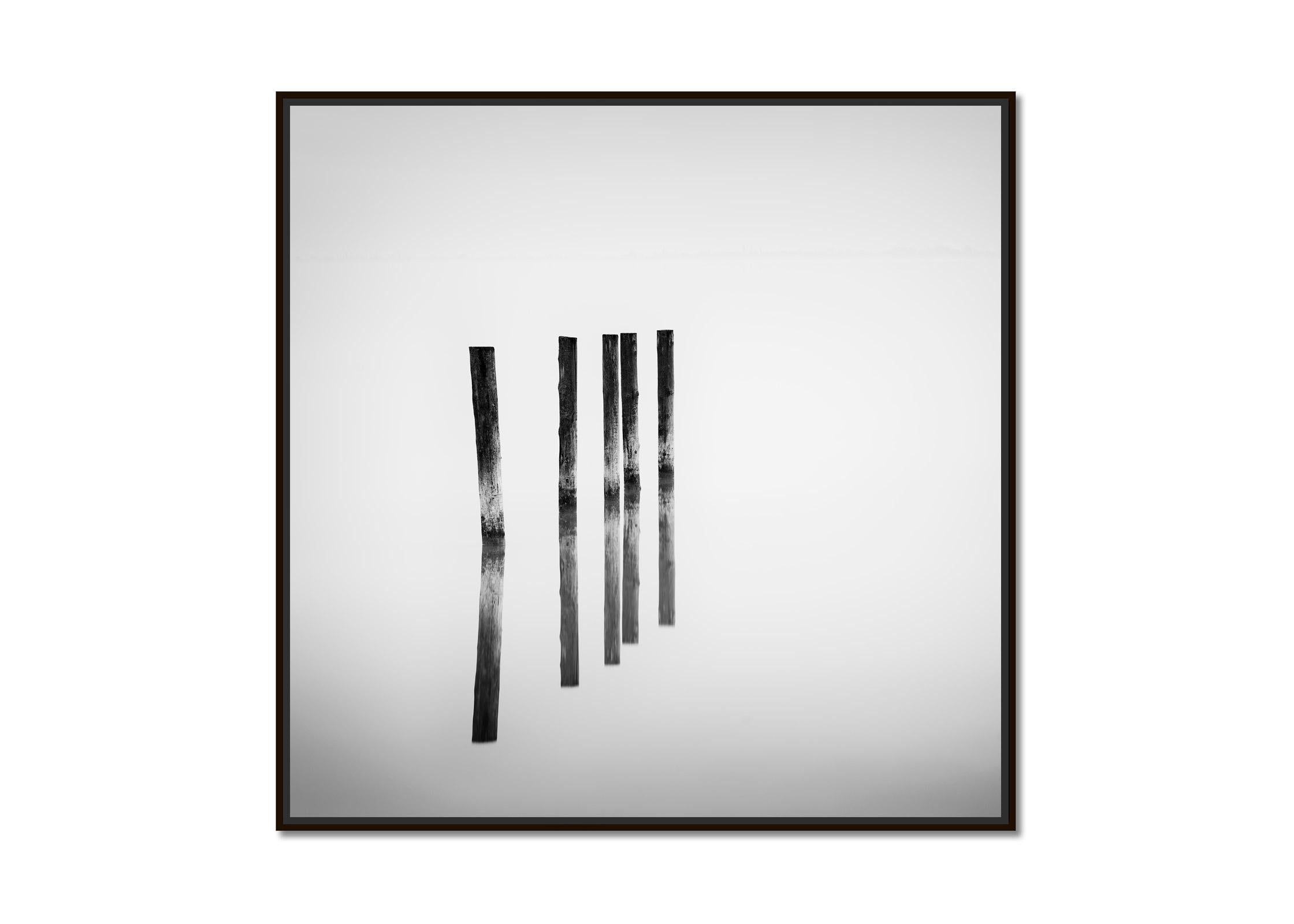 Five wooden Posts in the Lake, black and white, long exposure fineart waterscape - Photograph by Gerald Berghammer