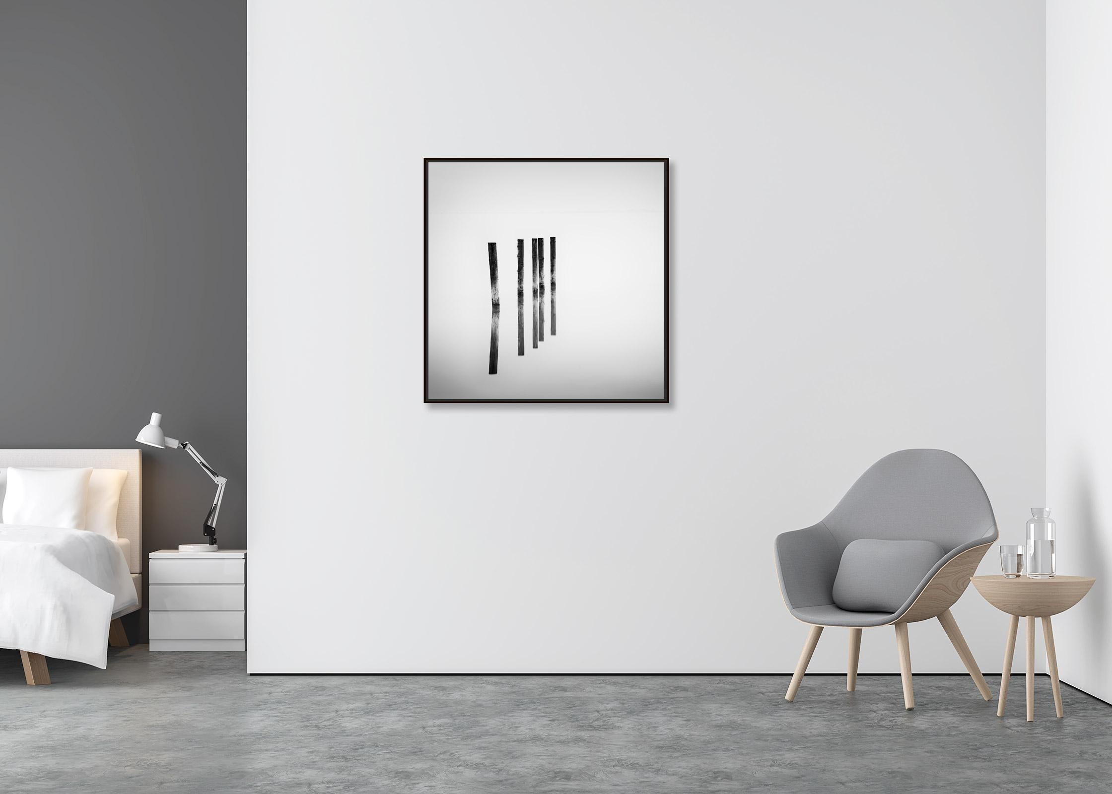 Five wooden Posts in the Lake, black and white, long exposure fineart waterscape - Contemporary Photograph by Gerald Berghammer