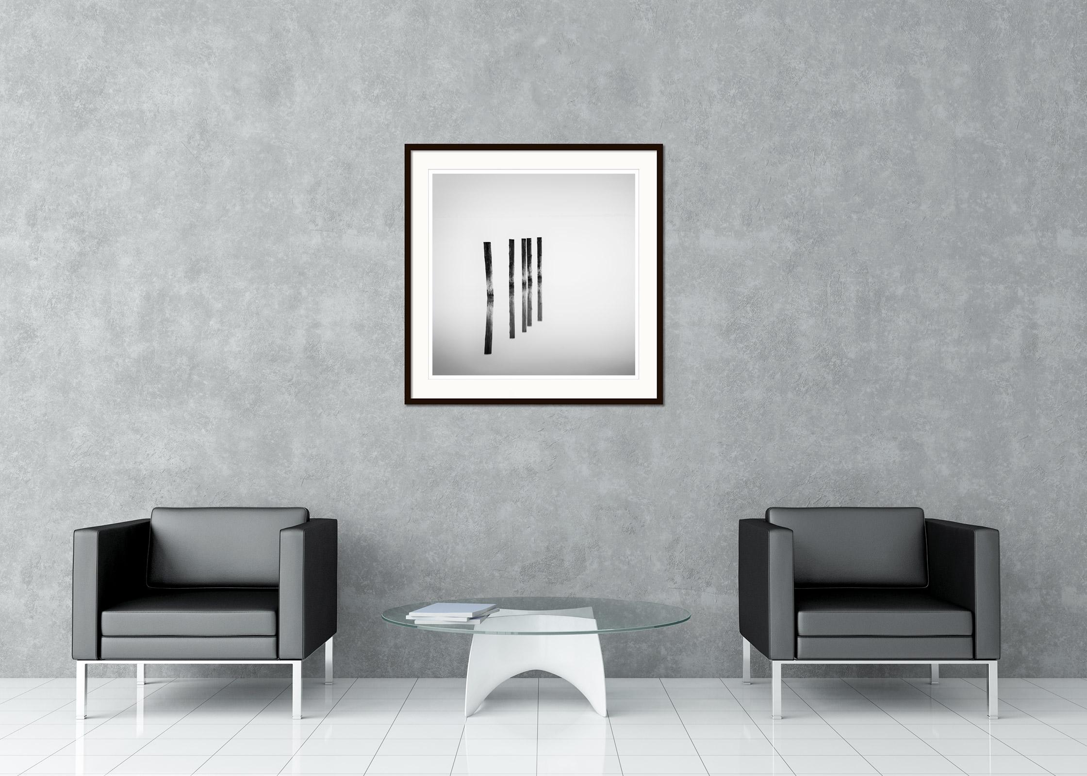 Five wooden Posts in the Lake, black and white, long exposure fineart waterscape For Sale 1