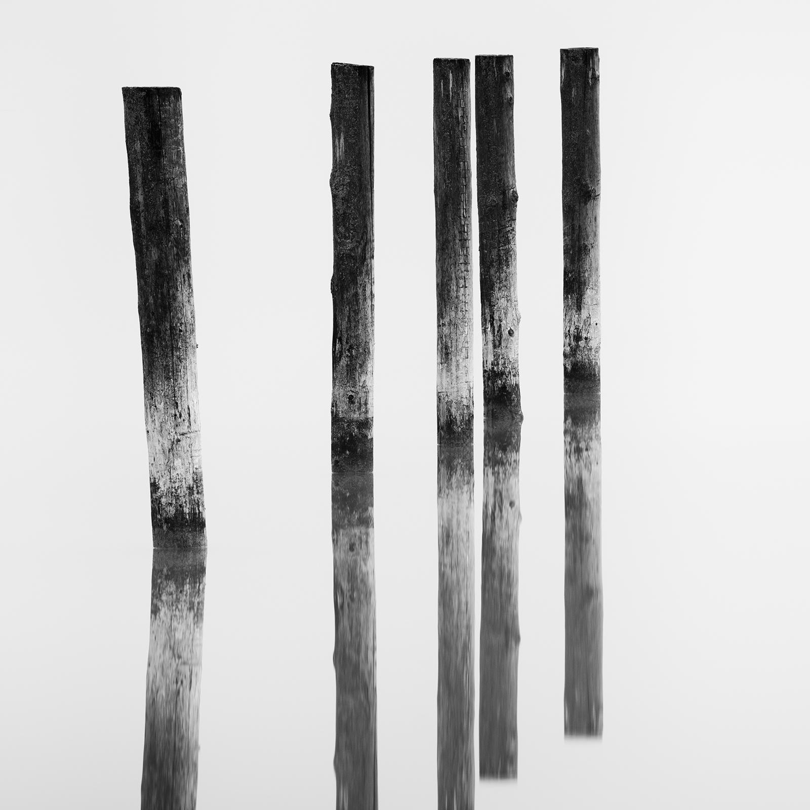 Five wooden Posts in the Lake, black and white, long exposure fineart waterscape For Sale 4