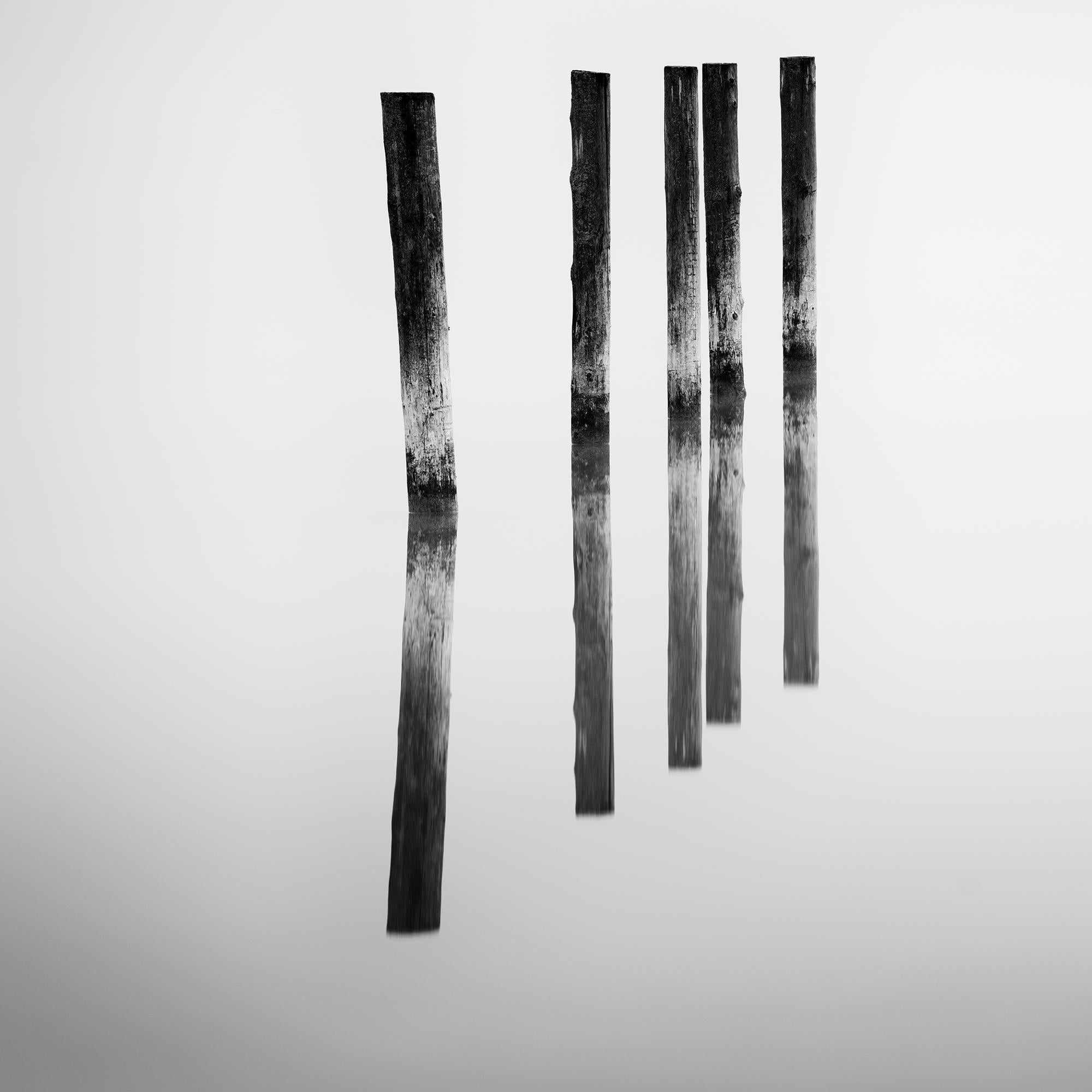 Cinco postes de madera, Lago, larga exposición, fotografía de paisaje acuático, edición limitada en venta 3