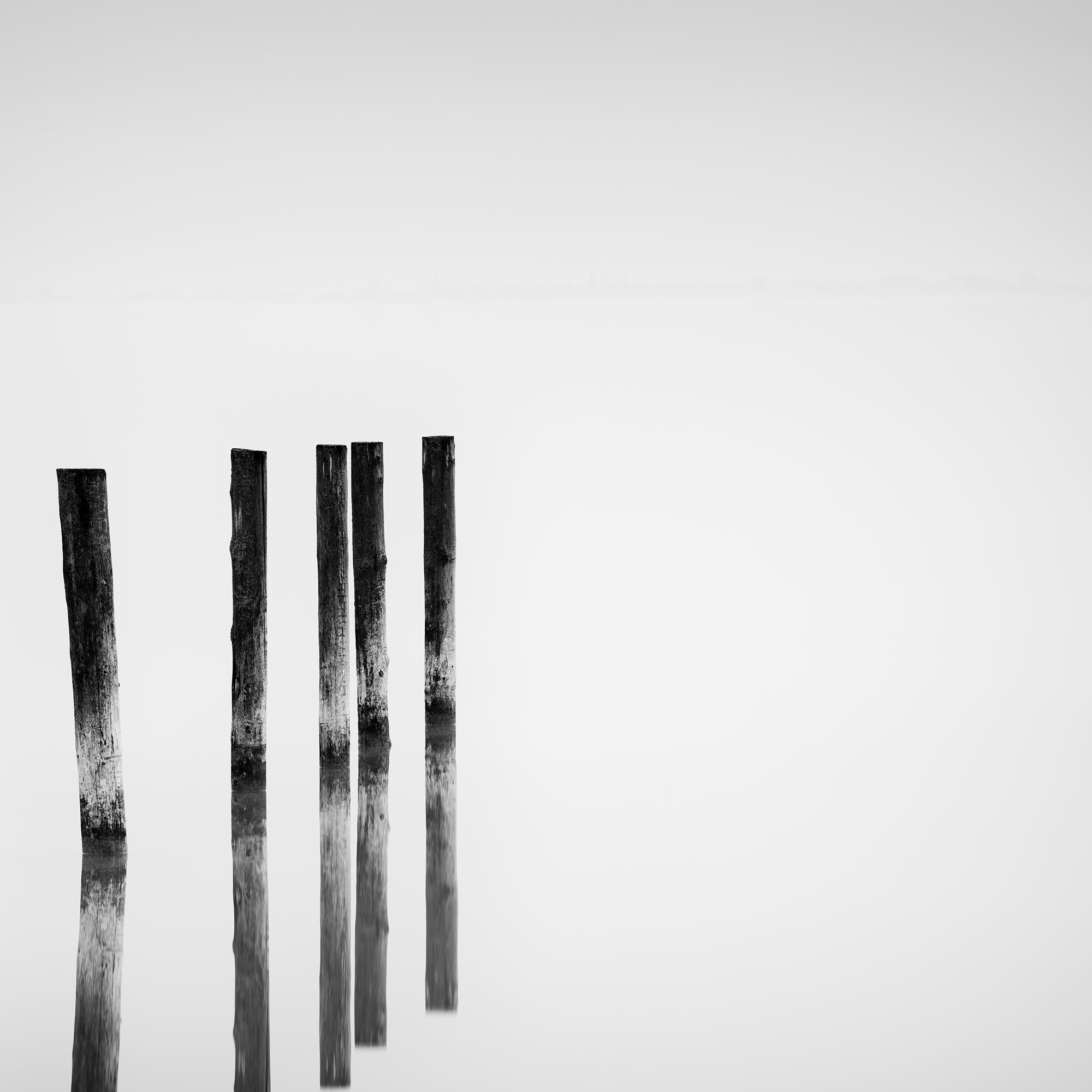 Cinco postes de madera, Lago, larga exposición, fotografía de paisaje acuático, edición limitada en venta 4