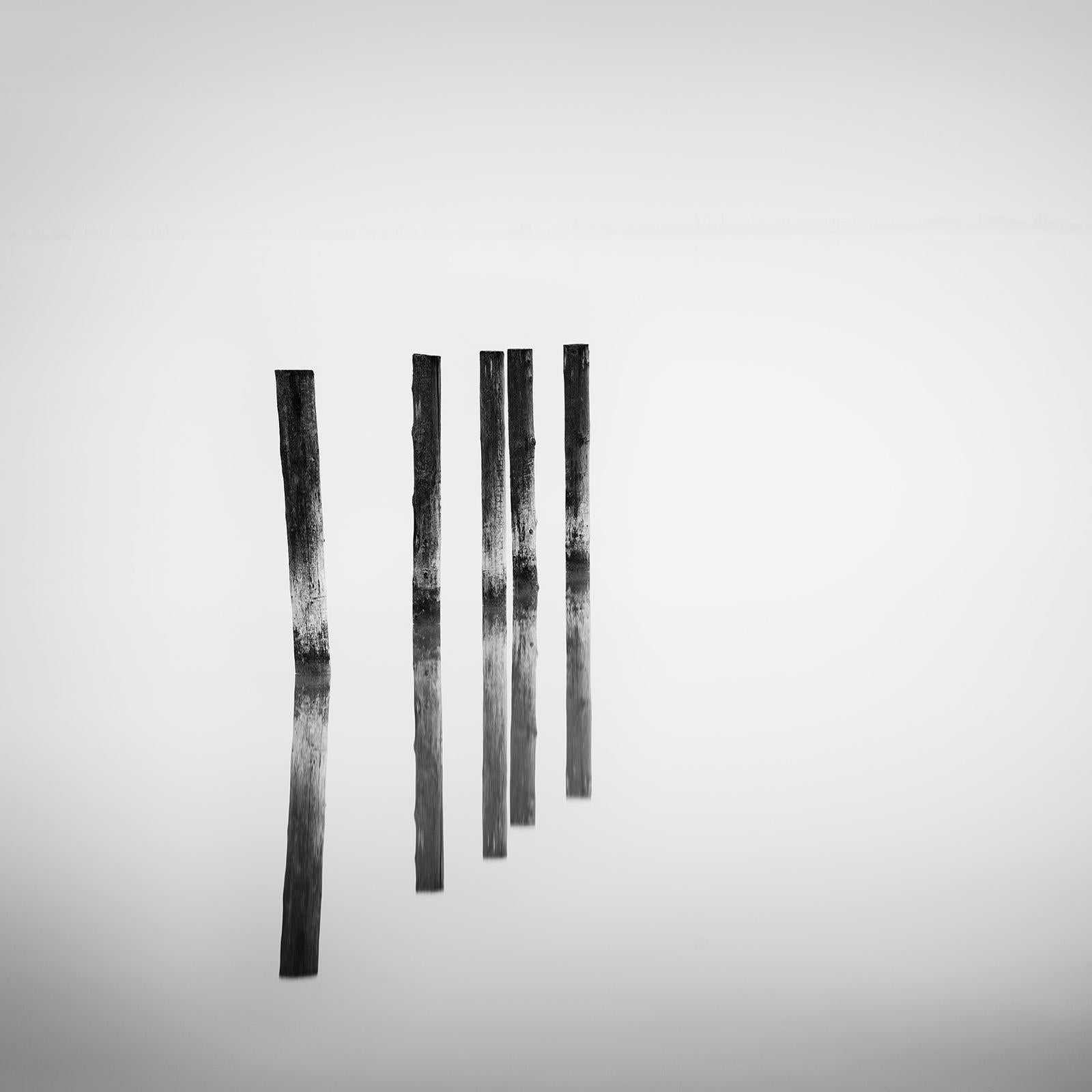 Gerald Berghammer Black and White Photograph - Five wooden Posts in the Lake, black and white, long exposure fineart waterscape