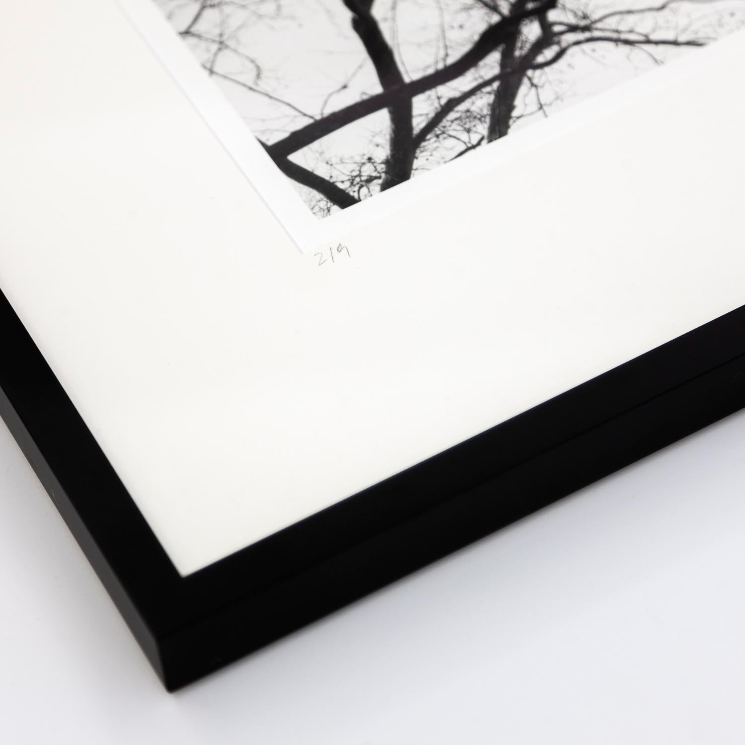 Gerald Berghammer - Limitierte Auflage 2/9. Silbergelatine Abzüge, Selenium Toned, Gedruckt 2017. Signiert, nummeriert und datiert von Artis. Handgefertigter Holzrahmen, schwarz, naturweißes Passepartout, entspiegeltes Weißglas, UV 70, Metallecken