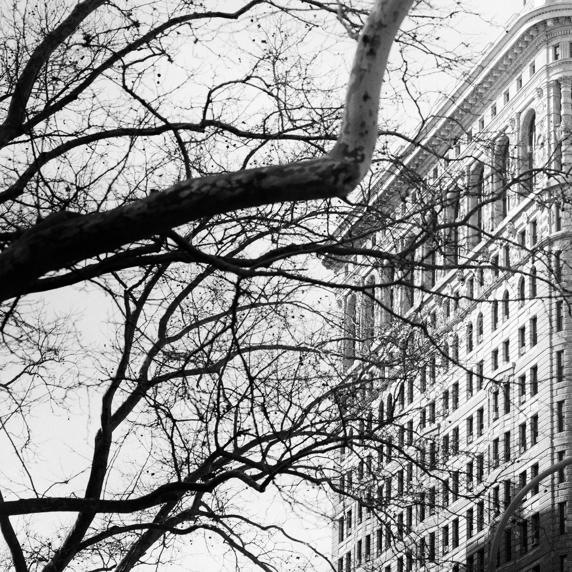 Edificio Flatiron Estudio 1 Nueva York en venta 6