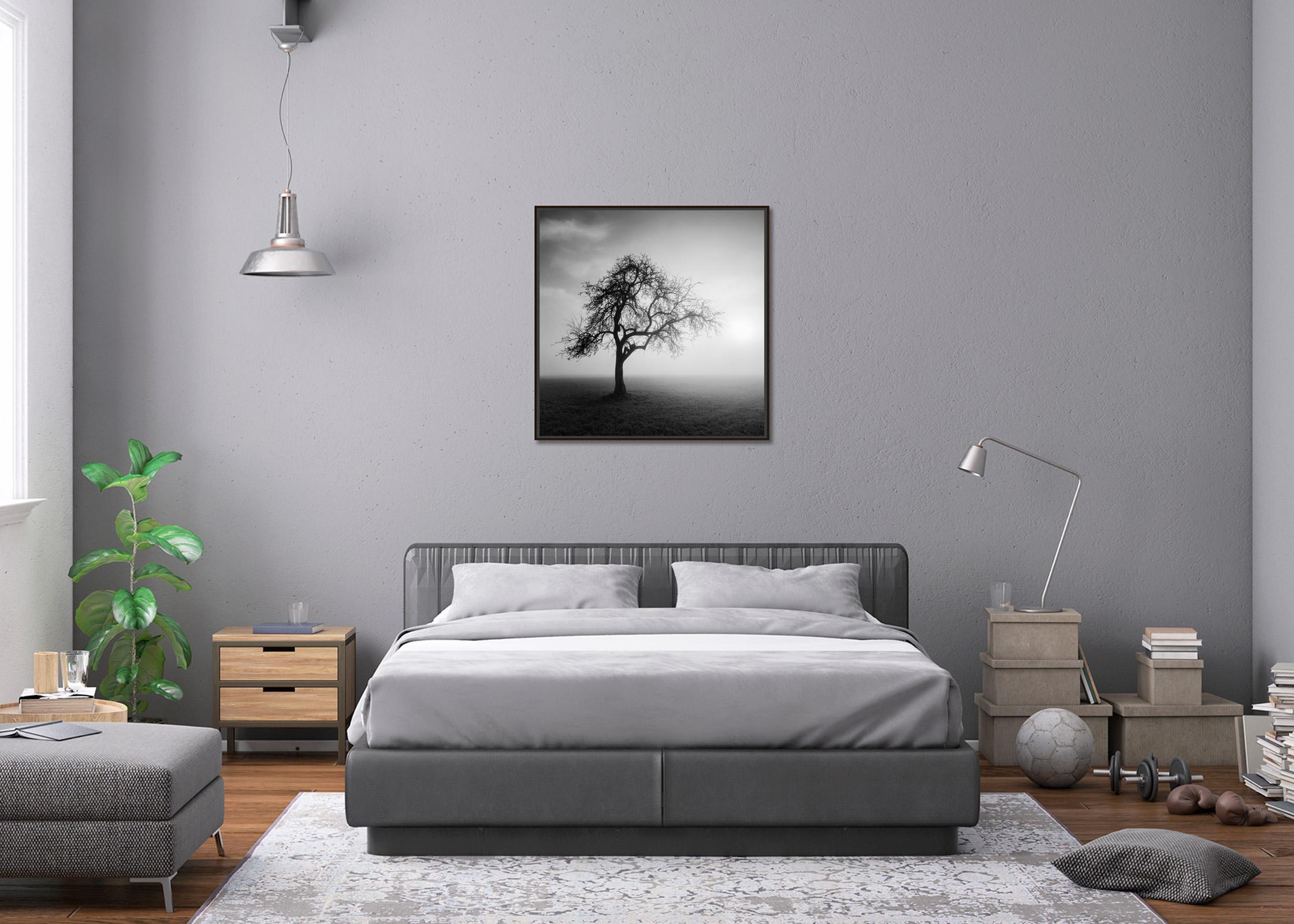 Foggy Morning, Mystikbaum, Österreich, Schwarz-Weiß-Kunstfotografie, Landschaft im Angebot 1