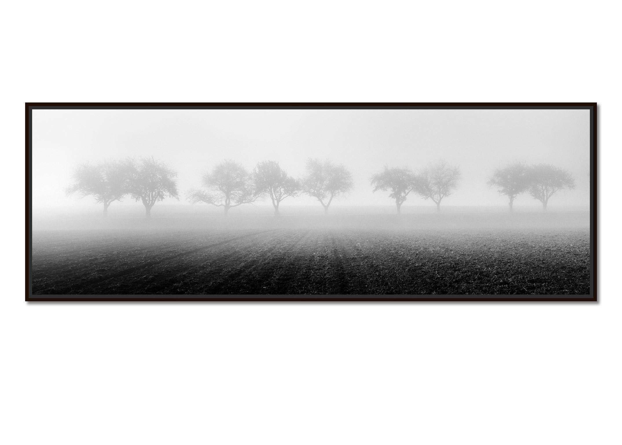 Foggy Morning, row of Cherry Trees, black and white photography, art landscape - Photograph by Gerald Berghammer