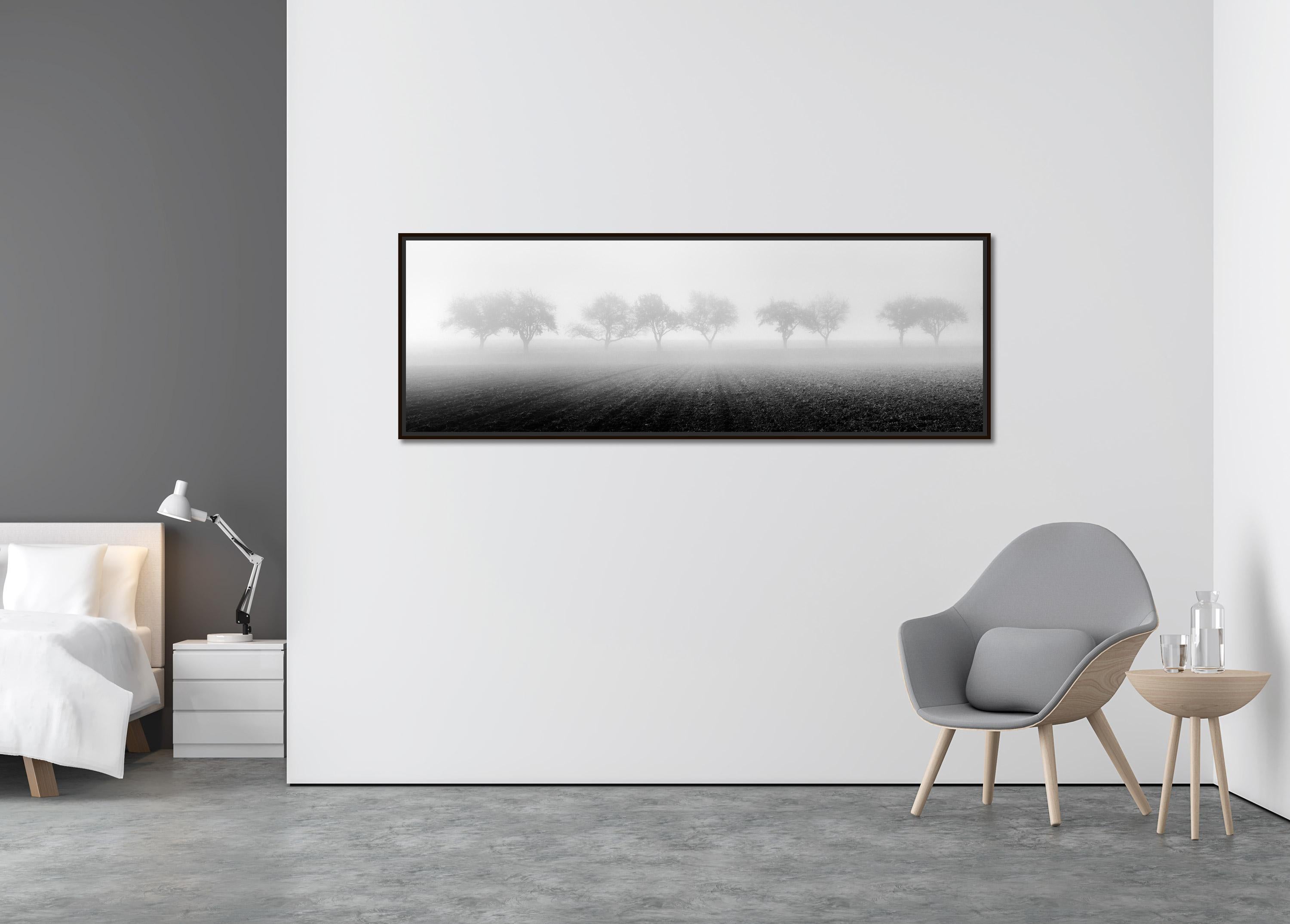 Foggy Morning, row of Cherry Trees, black and white photography, art landscape - Contemporary Photograph by Gerald Berghammer