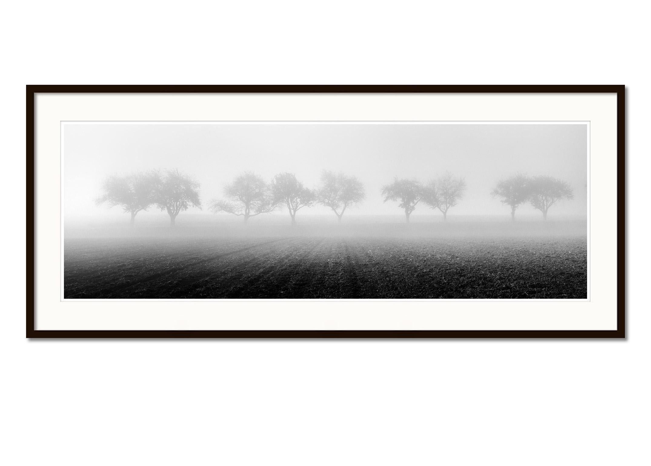 Foggy Morning, row of Cherry Trees, black and white photography, art landscape - Gray Landscape Photograph by Gerald Berghammer