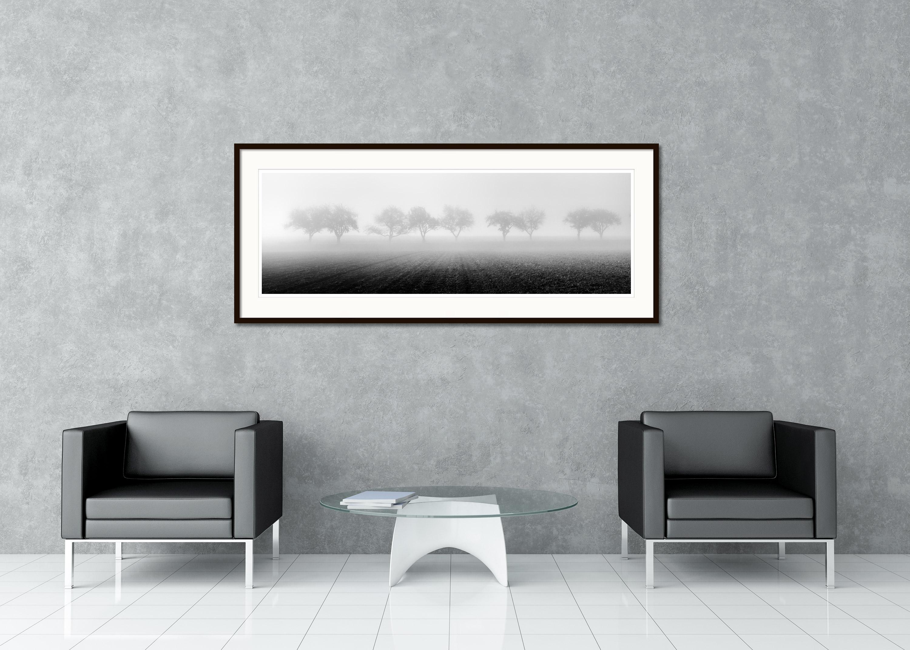 Black and White Fine Art Panorama Photography. Row of cherry trees in the field on a foggy morning. Archival pigment ink print, edition of 9. Signed, titled, dated and numbered by artist. Certificate of authenticity included. Printed with 4cm white