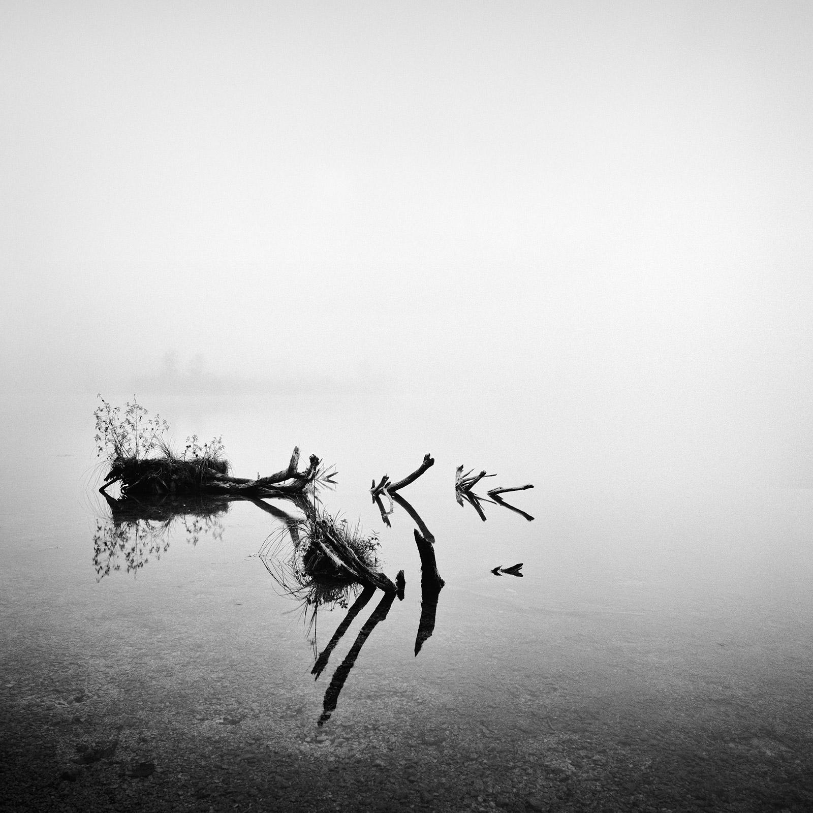 Foggy Revelation, Mountains, Almsee Lake, Austria,  black and white photography