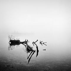 Revelation Foggy, Montagnes, lac d'Alzsee, Autriche  photographie en noir et blanc